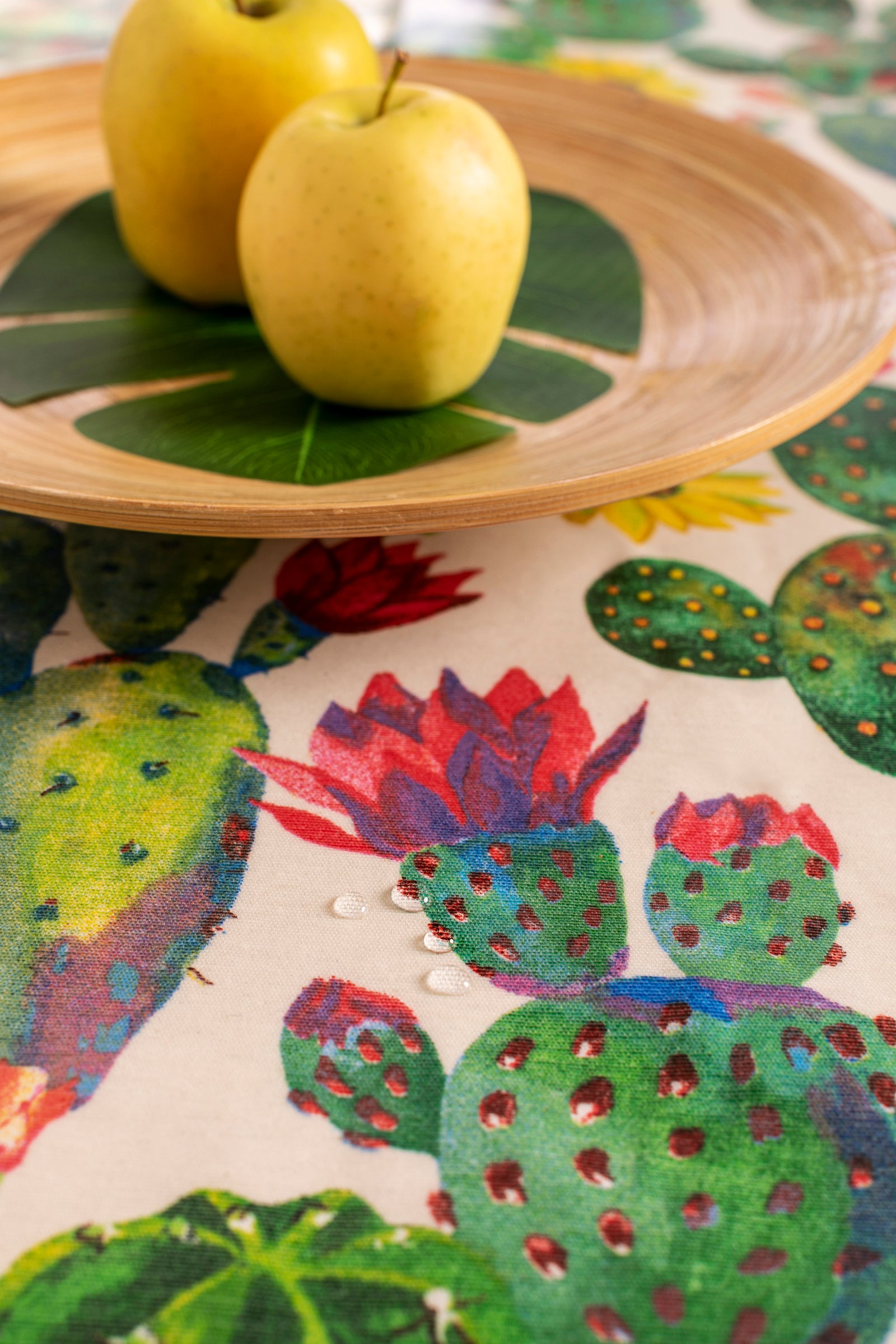 Tovaglia Antimacchia Shabby Chic Country Cactus Stile Shabby Country Rettangolare Impermeabile Tavola da Pranzo Cucina Giardino 12 Posti 150x230