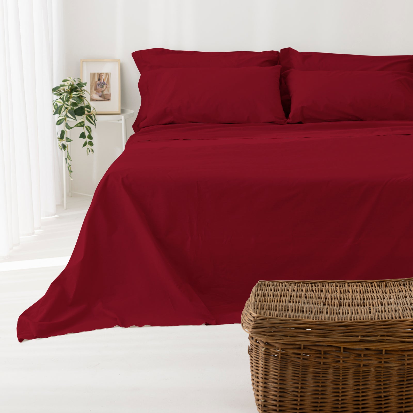 Coppia Federe Cotone per guanciale Set 2 Pezzi Cromo Vari Colori