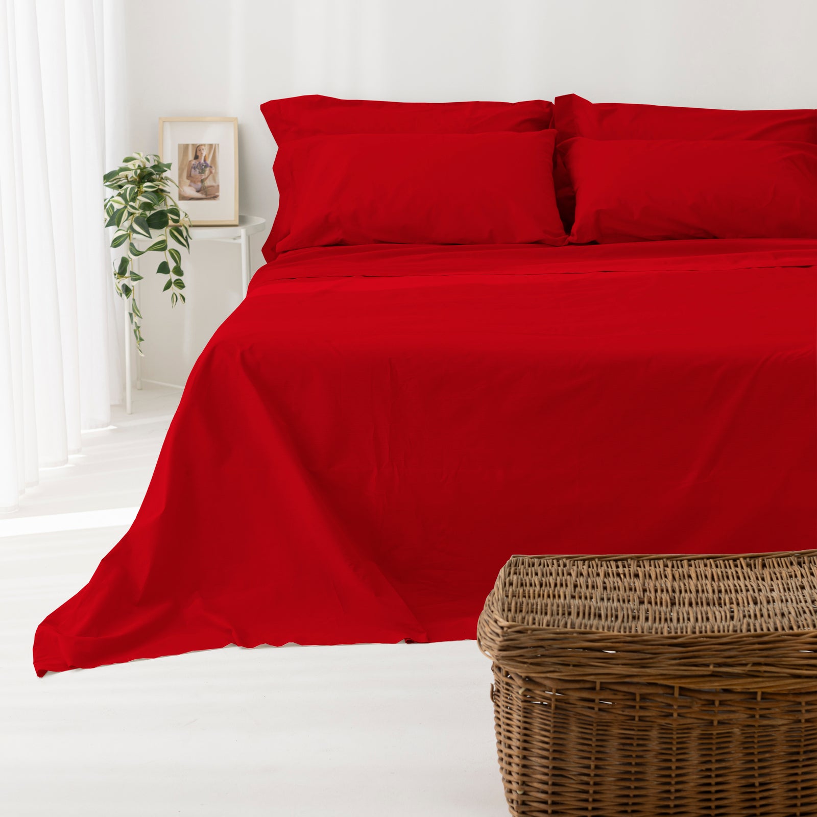 Coppia Federe Cotone per guanciale Set 2 Pezzi Cromo Vari Colori