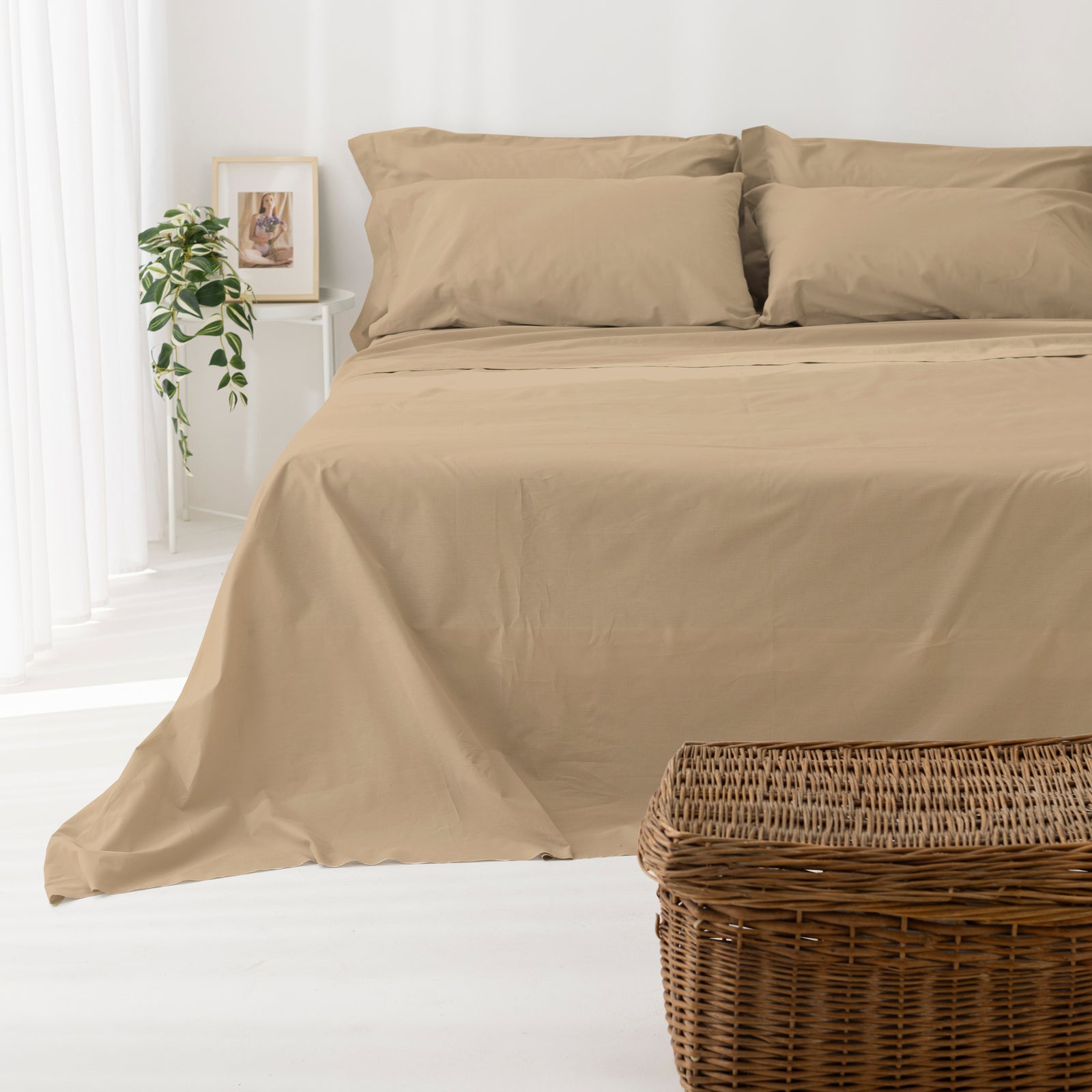 Coppia Federe Cotone per guanciale Set 2 Pezzi Cromo Vari Colori