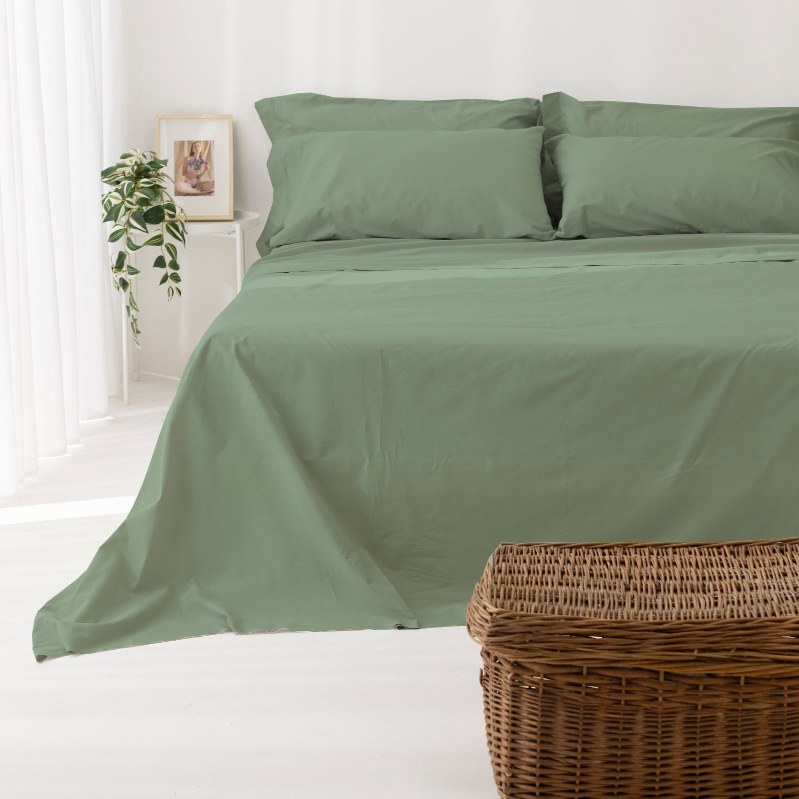 Coppia Federe Cotone per guanciale Set 2 Pezzi Cromo Vari Colori