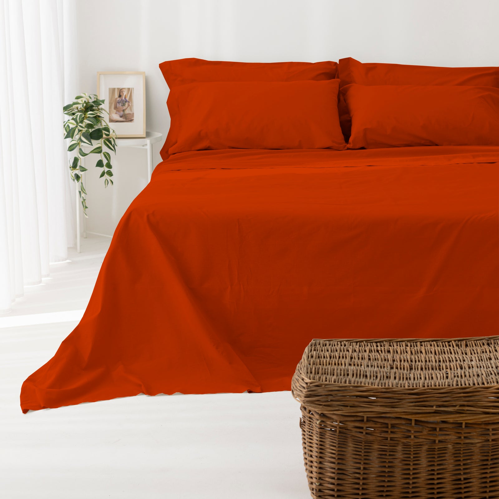 Coppia Federe cotone per Guanciale con Volant Set 2 Pezzi Cromo Vari Colori