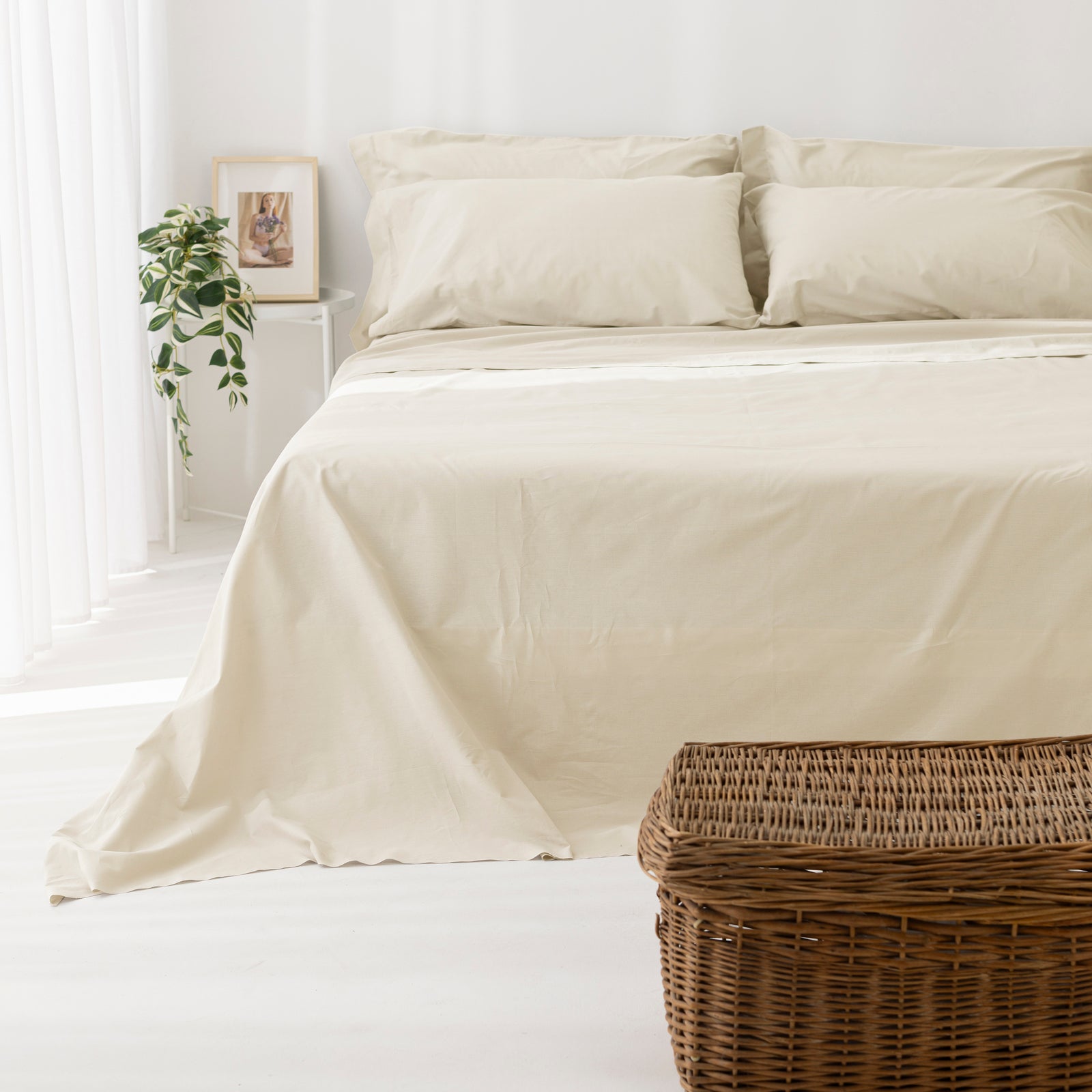 Coppia Federe in Puro Cotone per Guanciale con Tre Volani – Set 2 Pezzi, Colore Cromo, Disponibili in Vari Colori