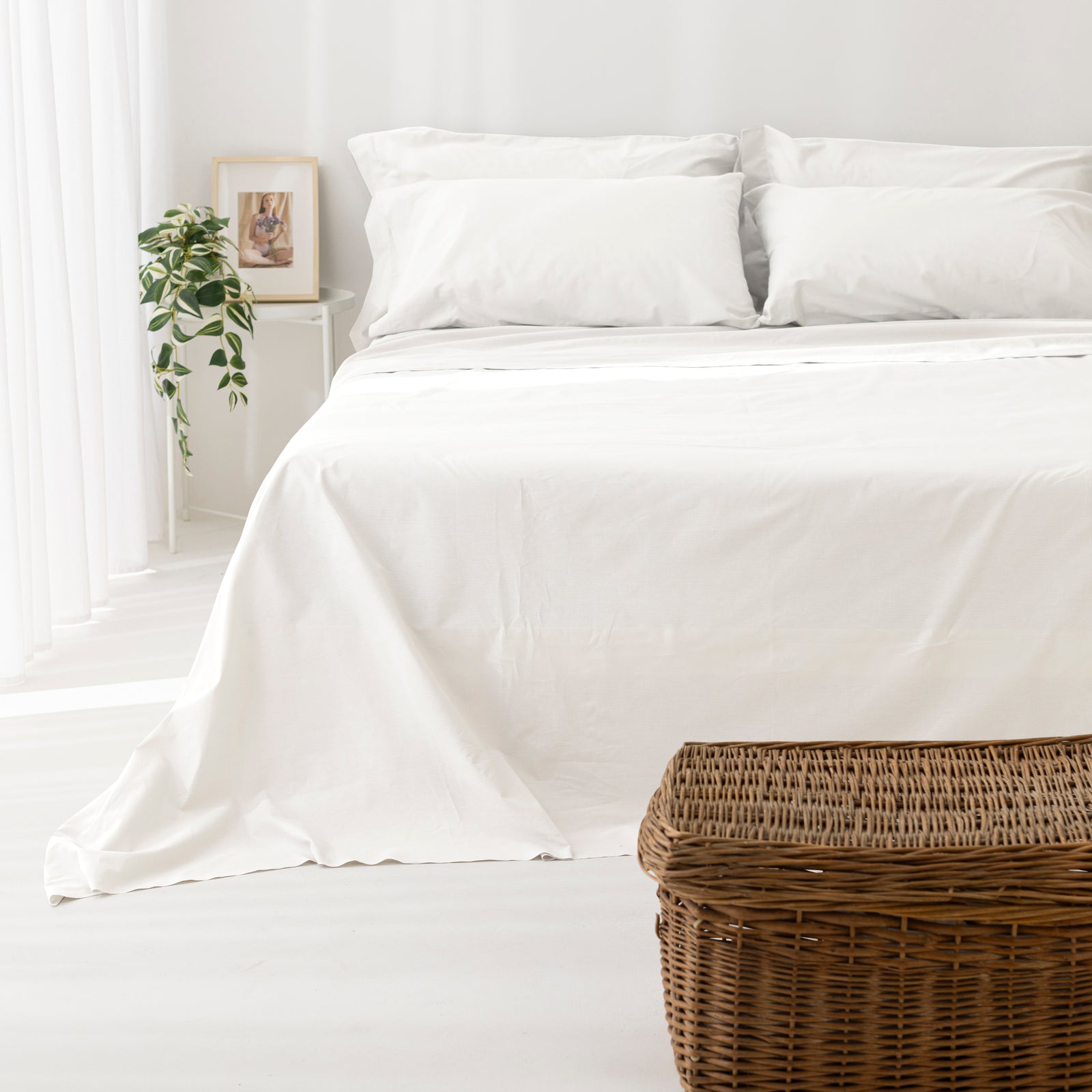 Coppia Federe in Puro Cotone per Guanciale con Tre Volani – Set 2 Pezzi, Colore Cromo, Disponibili in Vari Colori