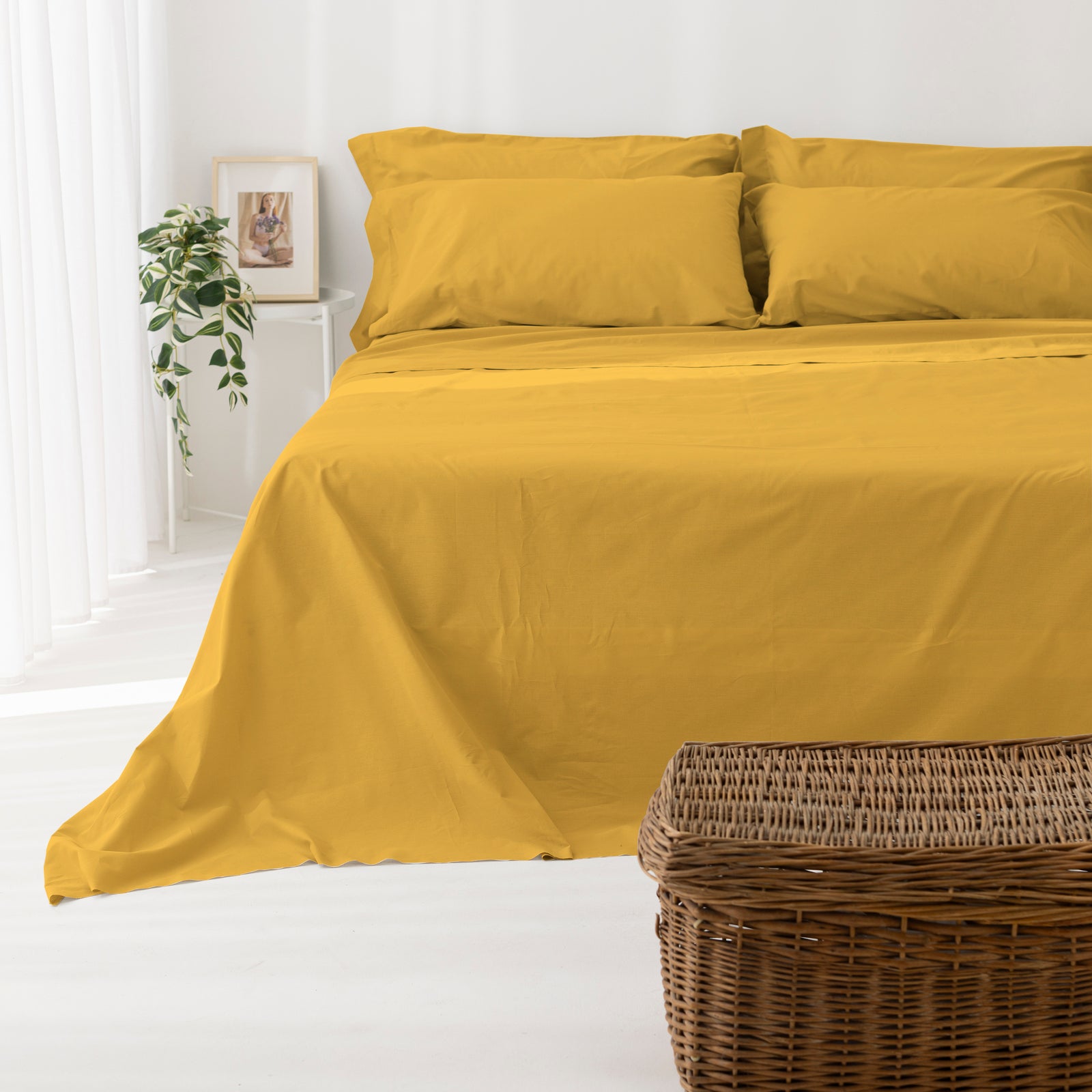 Coppia Federe cotone per Guanciale con Volant Set 2 Pezzi Cromo Vari Colori