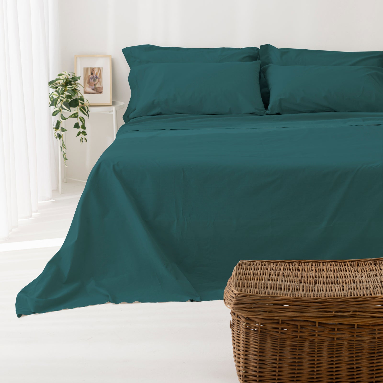 Coppia Federe cotone per Guanciale con Volant Set 2 Pezzi Cromo Vari Colori