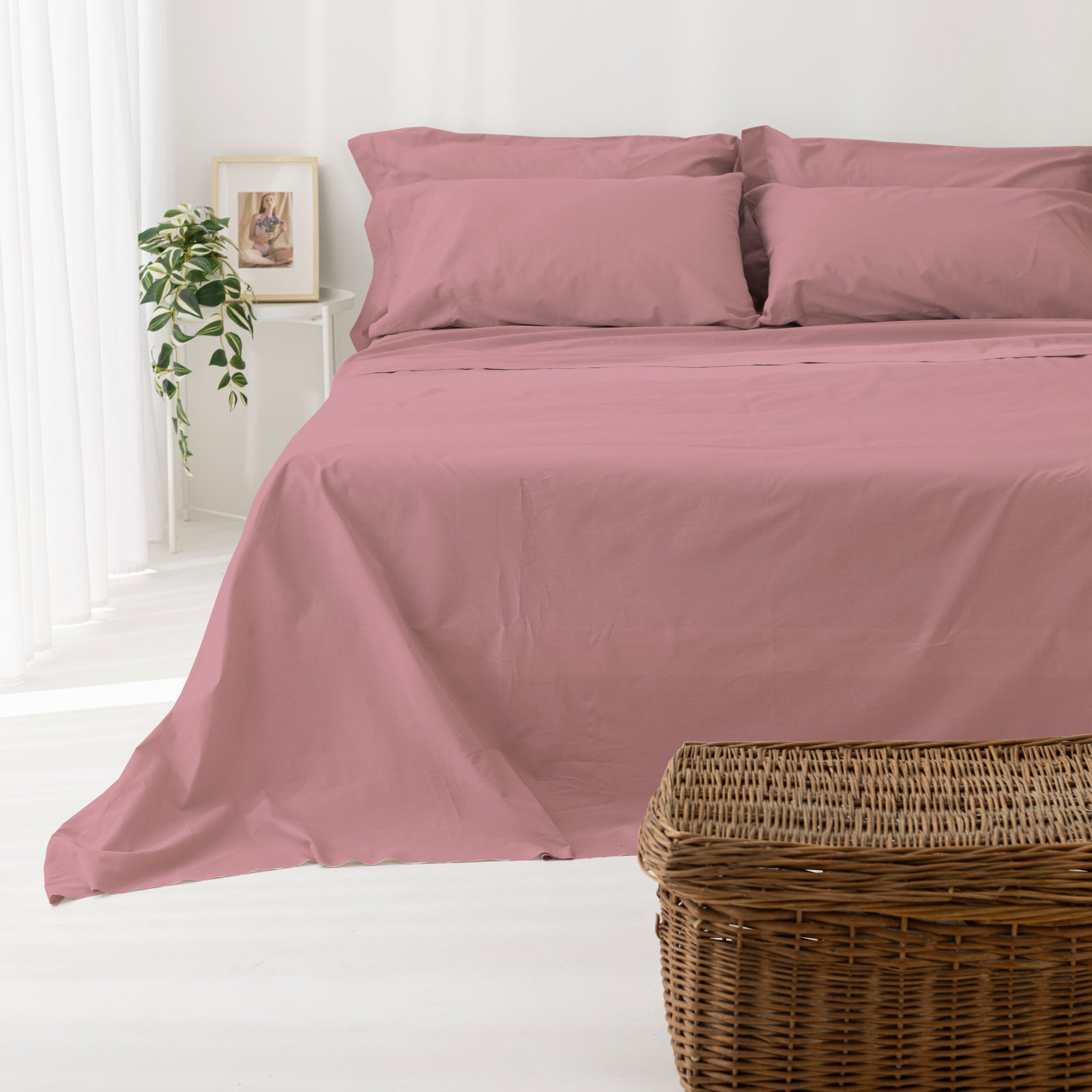 Coppia Federe cotone per Guanciale con Volant Set 2 Pezzi Cromo Vari Colori