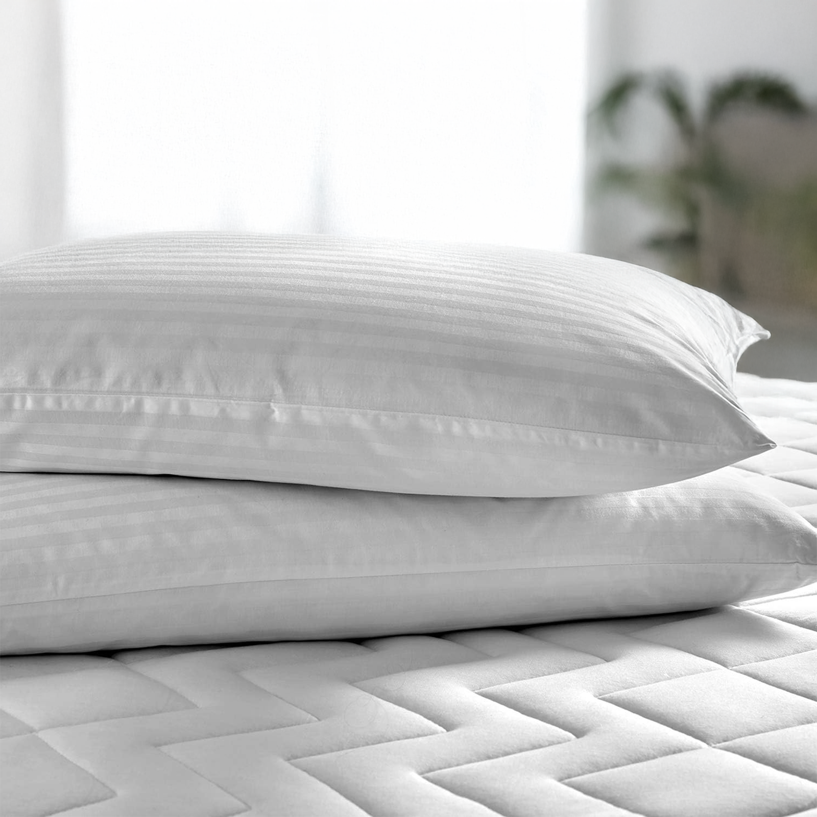 Copriguanciali 50x80 cm Set da 2 – Sottofedere Cotone Rigato con Zip, Traspiranti – Bianco